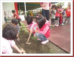 1020424蔬菜 047 (Custom)