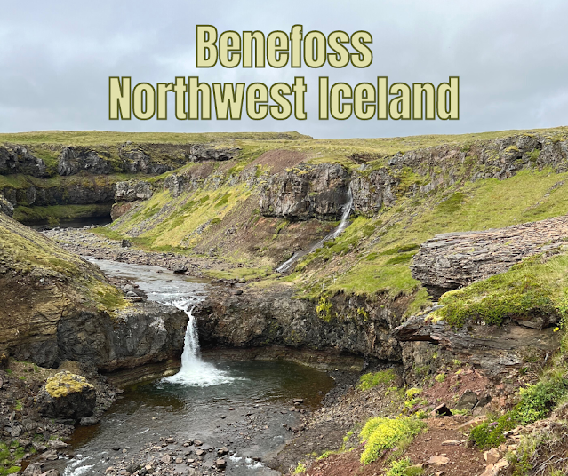 Benefoss and Icelandic Horses Delight in Northwestern Iceland