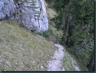 DSCN5666