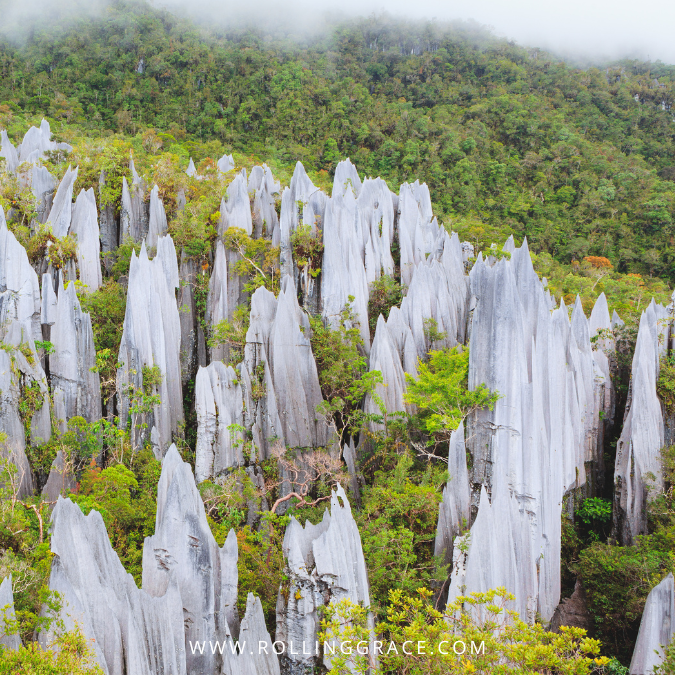 The Pinnacles Gunung Mulu