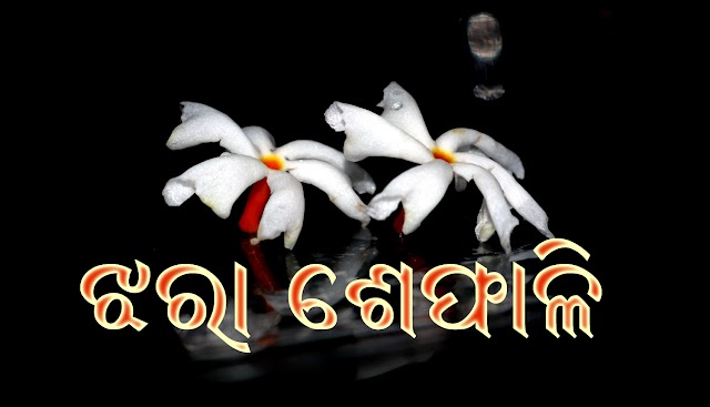 ଝରା ଶେଫାଳି - କଲ୍ୟାଣୀ ନନ୍ଦ