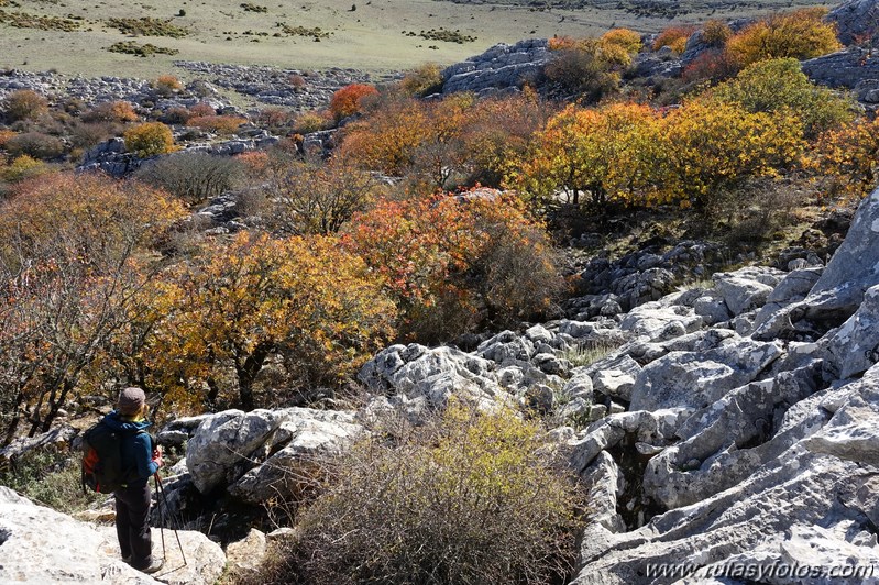 Cornicabral del Valle de Lifa