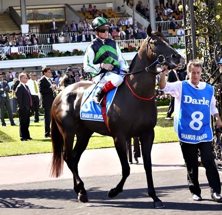 race 7 _shamus award 3