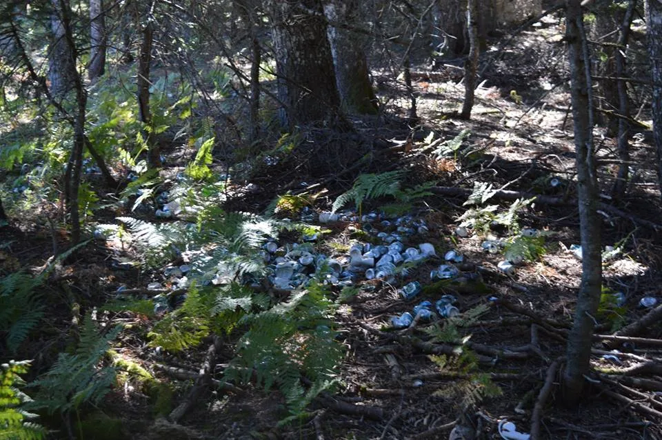 Αποτέλεσμα εικόνας για παρανομοι σκουπιδοτοποι στην πολυδροσοσ φωκιδασ