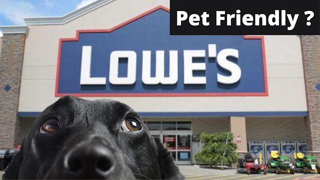 Is Lowes Pet Policy Dog Friendly?