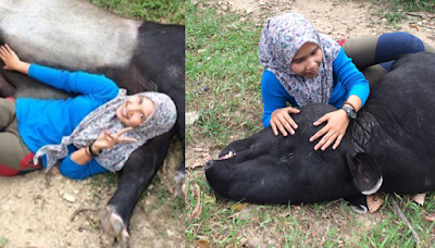 Foto Mesra Wanita Bersama Tapir