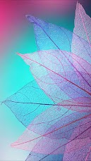 Colored Leaves Wallpaper for iPhone and Android