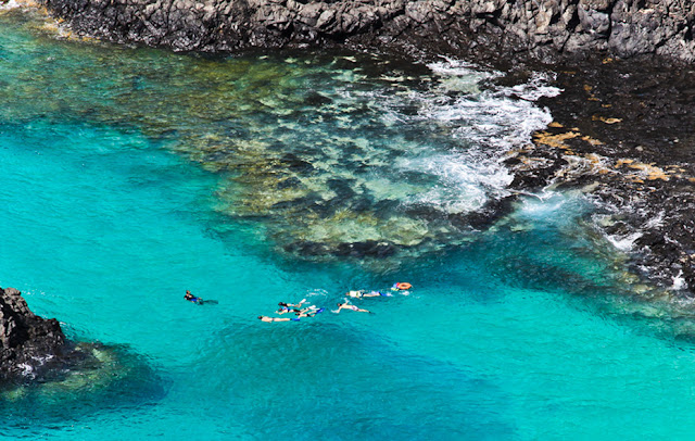 Fernando de Noronha-Brasil diving