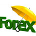 Foreign Exchange Market is Different from The Stock Market