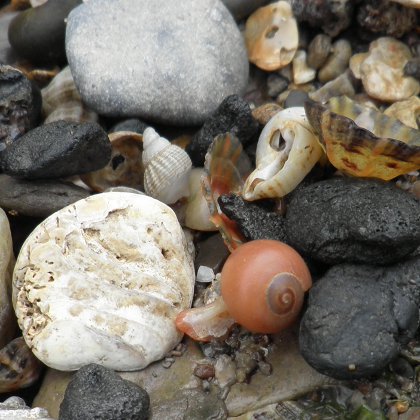 pebbles on the beach at Barry Island