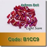 B1CC9 copy