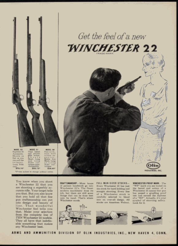 Winchester 22