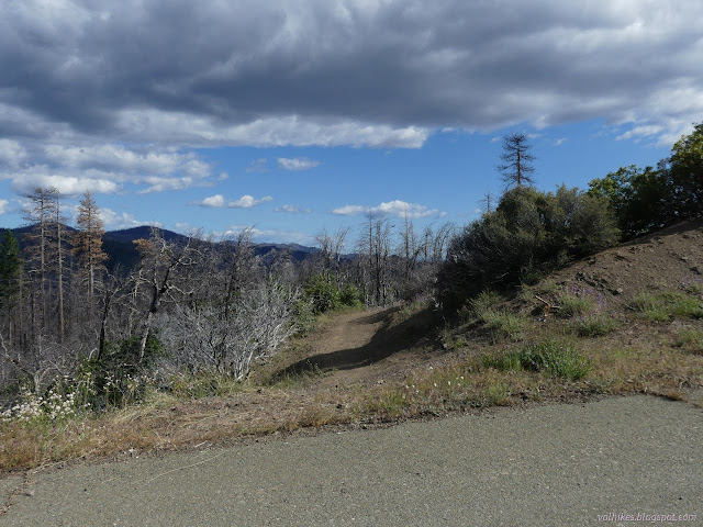 79: trail leading off the edge of a paved road