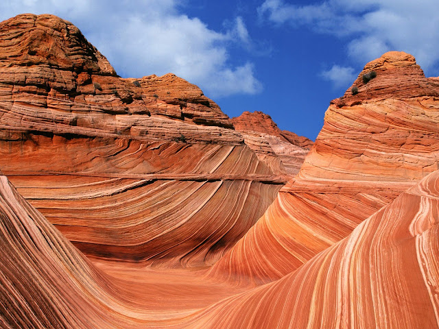 Wave paria canyon vermilion cliffs wilderne