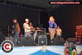 Festa 308