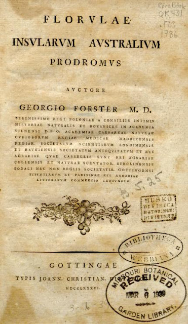 Работа немецкого учёного-естествоиспытателя Георга Форстера "Florulae Insularum Australium Prodromus" (1786 год)