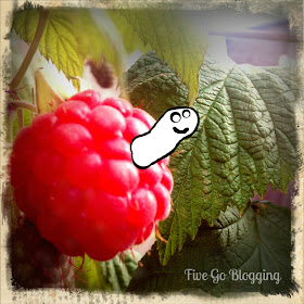 raspberry worm