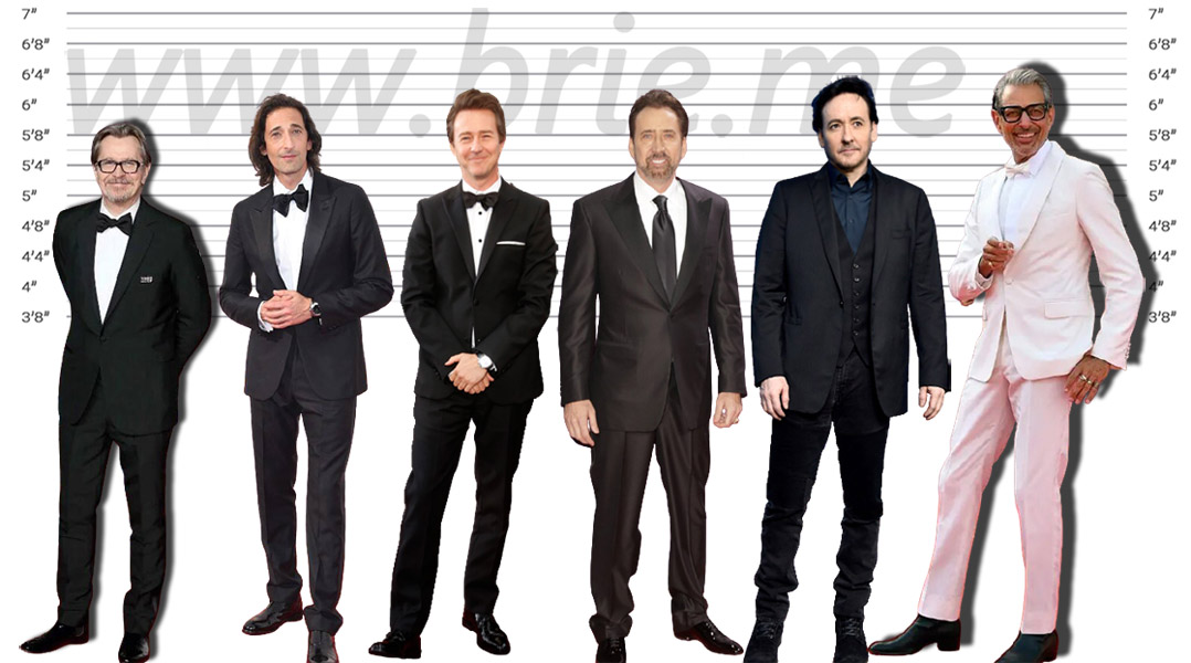 Gary Oldman, Adrien Brody, Edward Norton, Nicolas Cage, John Cusack, and Jeff Goldblum height comparison