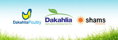 Accountant For Dakahlia Group - El Sadat City