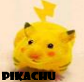 [pikachu.png]