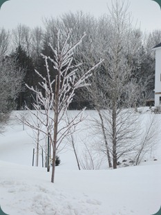 Winter 2010 010
