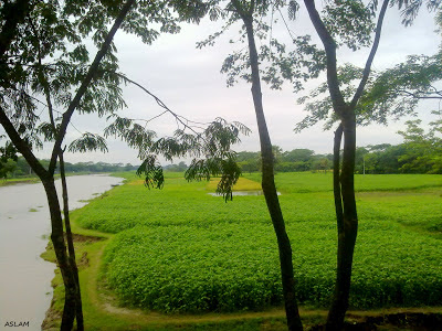 Nature of Bangladesh