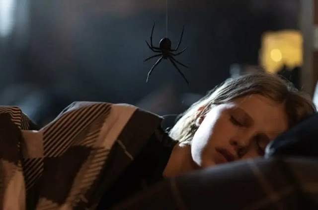 Aracnofòbia a 'STING': Una aranya gegant caníbal porta el terror als cinemes