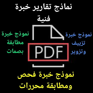نماذج تقارير خبرة فنية بصيغة pdf
