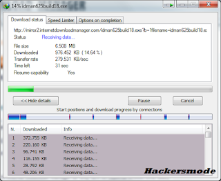 Internet Download Manager 6.25 build 18 + Full Patch