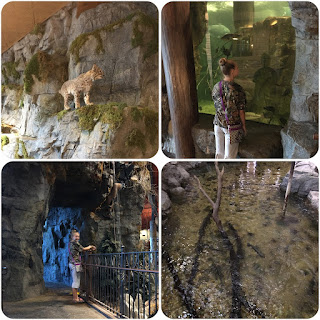 Bass Pro Shops, Water Fall, Bobcat