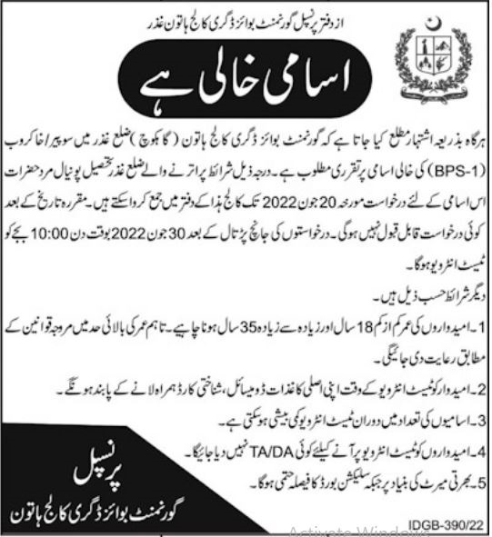 Latest Government Degree College Education Posts Ghizer 2022