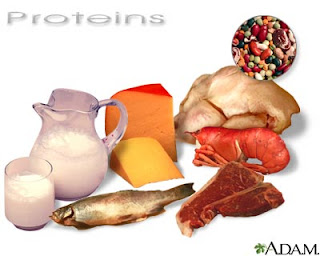 Protein-Rich Foods - Protein Source