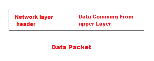 Network Layer OSI Model | Computer Network | Pywix Classes