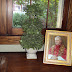 Catholic culture: papal portrait in your home...