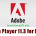 How to install Adobe Flash Player 11.3 Released CentOS 6/5
