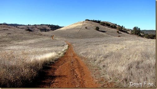 Magnolia ranch hike_050