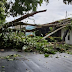 COM FORTE CHUVA, ÁRVORE ATINGE CASA E DEIXA MORADORES SEM ENERGIA EM MANAUS