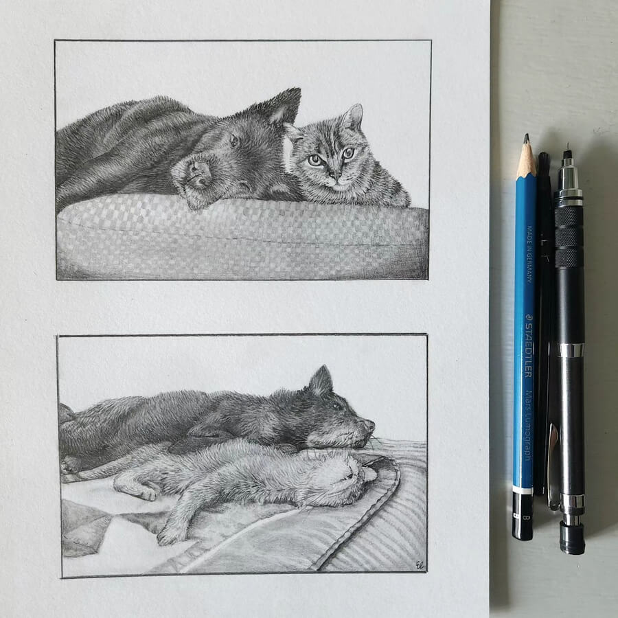 01-Cat-and-dog-friends-Animal-Pencil-Drawings-Elayne Fong-www-designstack-co