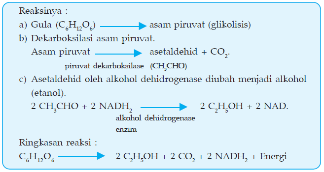 Ammalia Nur Indasari: Laporan Praktikum Biologi Fermentasi 