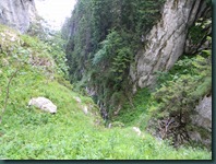 DSCN9041