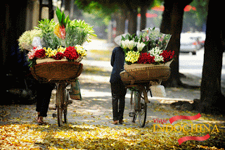 http://www.viajeindochina.com/guia/category/vietnam/guias-de-ciudades/hanoi