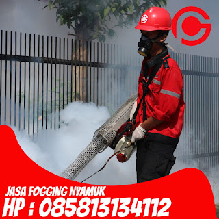 Hp : 085813134112 Jasa Fogging Nyamuk di Bandung Barat