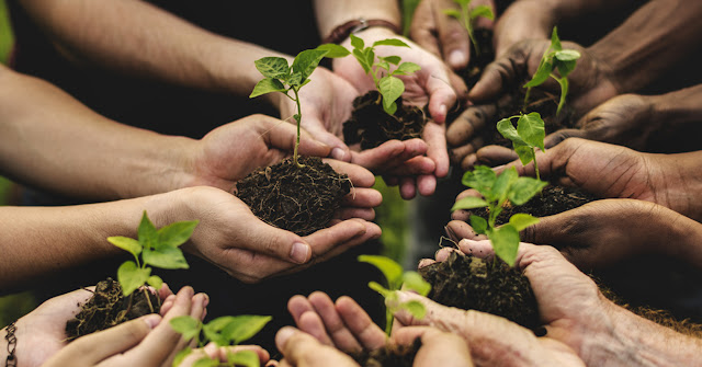 San Severo, l’Amm.ne Comunale da il via al progetto sperimentale di “Agricoltura Sociale” per la formazione e inserimento socio-lavorativo di 10 giovani “Neet”. Il Bando.