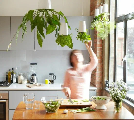 hanging herb garden