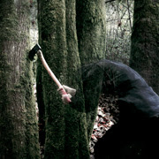 Baptists - Bushcraft | Review