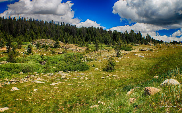 Beartooth Mountains highway wilderness Wyoming Montana geology rocks travel trip fieldtrip roadtrip copyright RocDocTravel.com