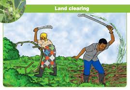 Cultural Practices in Crop Production: Pre-Planting Practices and Post-Planting Practices