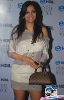 Bollywood Celebrities at HDIL Opening Bash Pictures