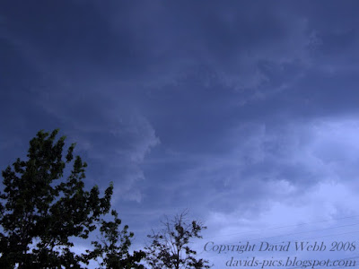 storm clouds rolling up before the storm with a tree in the foreground