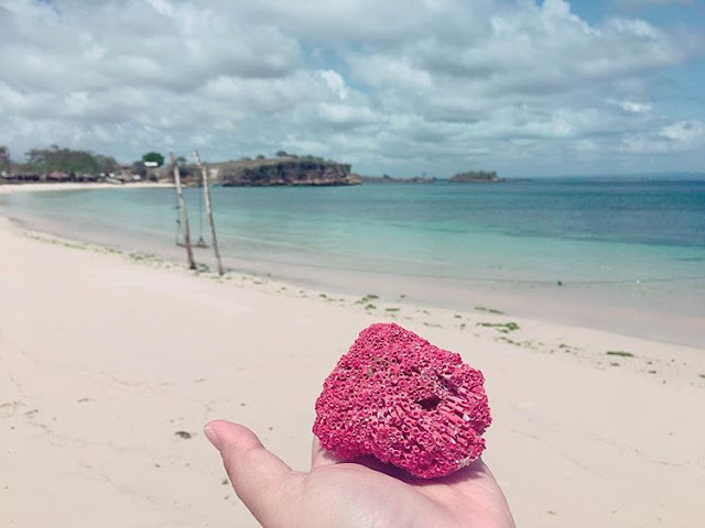 Terumbu karang berwarna pink tua, sumber ig @winnymargaretha